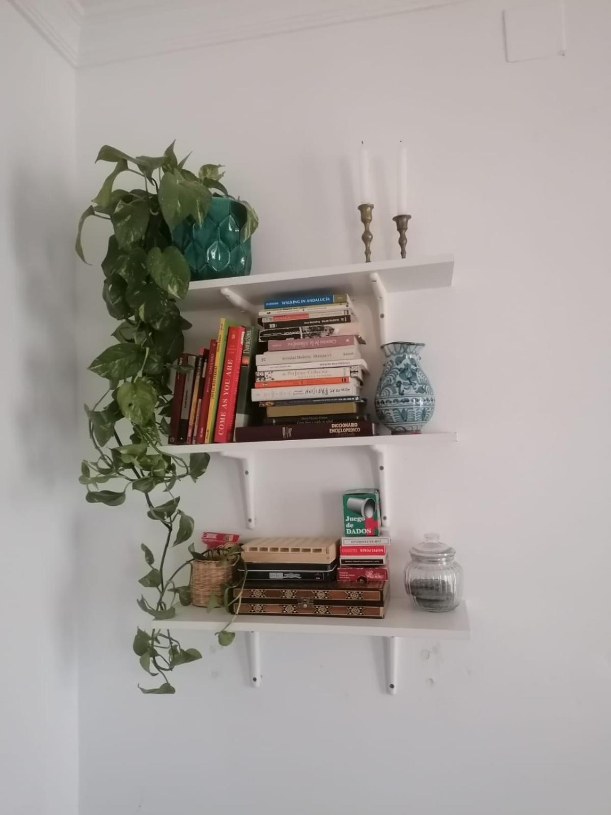 Apartamento Catedra 그라나다 외부 사진